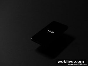 AG真人 woklive