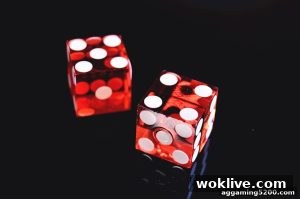 AG真人 woklive
